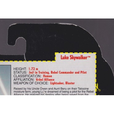 STAR WARS ACTION FIGURE  3.75 " - 9 cm LUKE SKYWALKER WITH GRAPPLING HOOK BLATER & LIGHTSABER Hasbro 69571