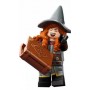 LEGO MINIFIGURE 71047 12...