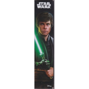 STAR WARS ACTION FIGURE  5 " - 14 cm LUKE SKYWALKER  hasbro B6333