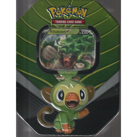 POKEMON trading card game TIN BOX CINDERACE V English cards